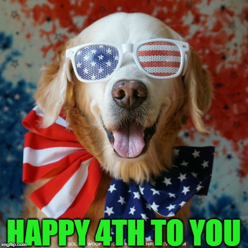 Stay safe y'all |  HAPPY 4TH TO YOU | image tagged in 4th of july dog | made w/ Imgflip meme maker