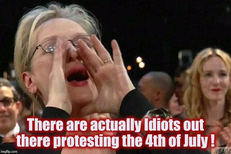 Maybe you could try not to suck for a little while | There are actually Idiots out there protesting the 4th of July ! | image tagged in woman shouting,paid in full,protest,not today,parade,orange trump | made w/ Imgflip meme maker