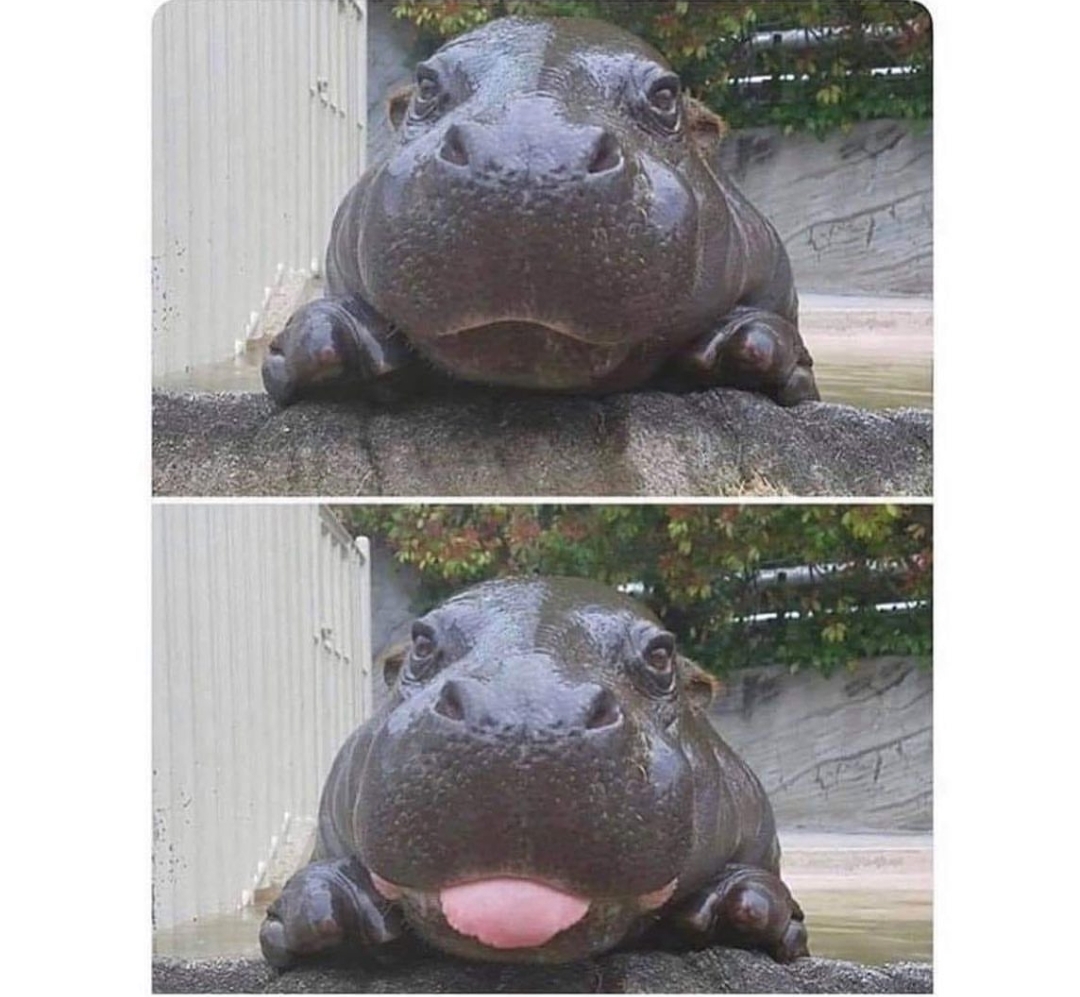 What That Tongue Do Blank Meme Template