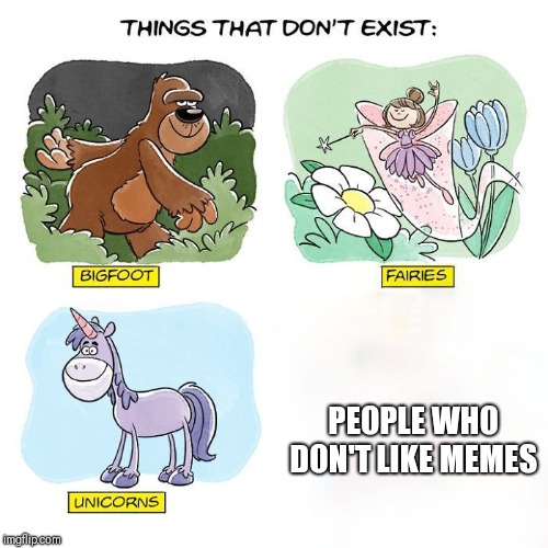 Things That Don't Exist | PEOPLE WHO DON'T LIKE MEMES | image tagged in things that don't exist,memes,hate | made w/ Imgflip meme maker