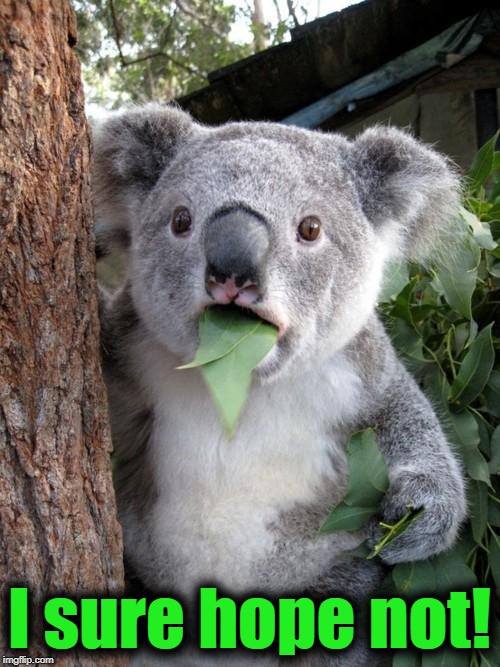 Surprised Koala Meme | I sure hope not! | image tagged in memes,surprised koala | made w/ Imgflip meme maker