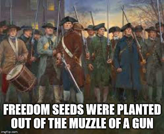 PatriotsfightingforUSA | FREEDOM SEEDS WERE PLANTED OUT OF THE MUZZLE OF A GUN | image tagged in patriotsfightingforusa | made w/ Imgflip meme maker