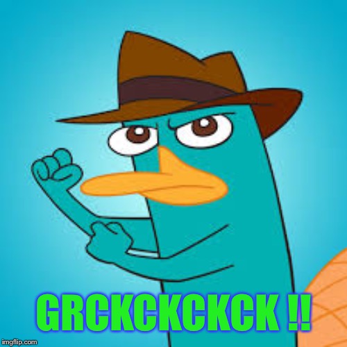  Perry the Platypus | Phineas and Ferb Wiki | Fandom powered by  | GRCKCKCKCK !! | image tagged in perry the platypus  phineas and ferb wiki  fandom powered by | made w/ Imgflip meme maker
