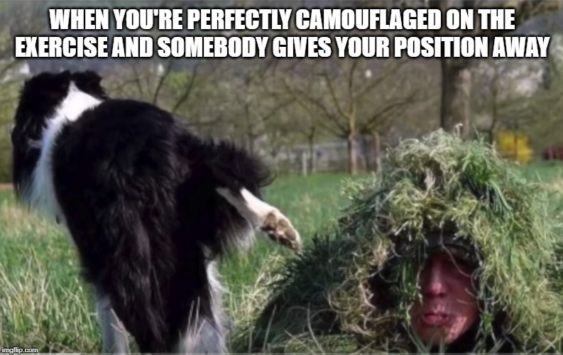 woof ! he's over here | WHEN YOU'RE PERFECTLY CAMOUFLAGED ON THE EXERCISE AND SOMEBODY GIVES YOUR POSITION AWAY | image tagged in camouflage,dog,give game away | made w/ Imgflip meme maker