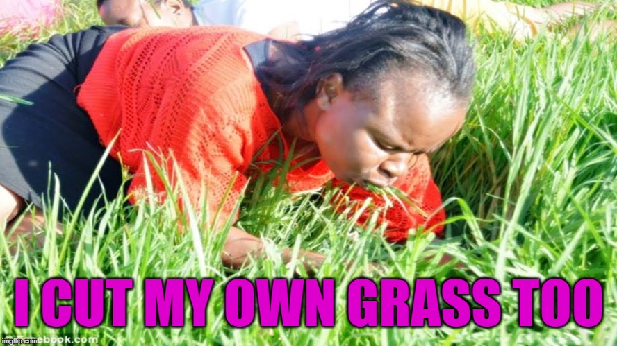 eating grass | I CUT MY OWN GRASS TOO | image tagged in eating grass | made w/ Imgflip meme maker