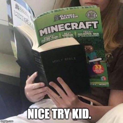 NICE TRY KID. ‬ | image tagged in minecraft | made w/ Imgflip meme maker