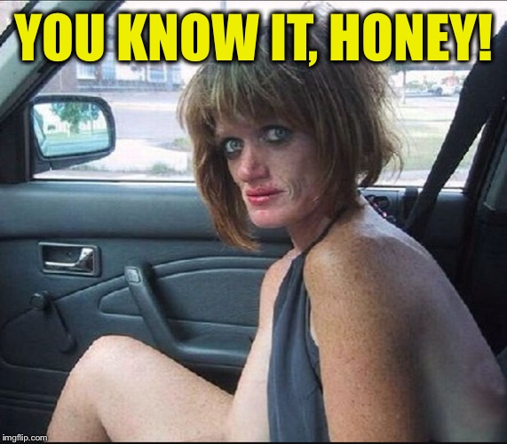 crack whore hooker | YOU KNOW IT, HONEY! | image tagged in crack whore hooker | made w/ Imgflip meme maker