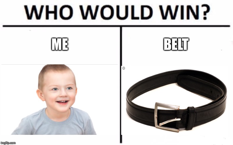 Who Would Win? | ME; BELT | image tagged in memes,who would win | made w/ Imgflip meme maker
