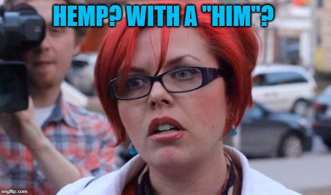Angry Feminist | HEMP? WITH A "HIM"? | image tagged in angry feminist | made w/ Imgflip meme maker