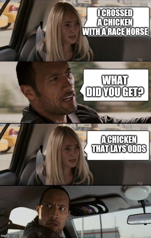 Rock Driving Longer | I CROSSED A CHICKEN WITH A RACE HORSE; WHAT DID YOU GET? A CHICKEN THAT LAYS ODDS | image tagged in rock driving longer | made w/ Imgflip meme maker