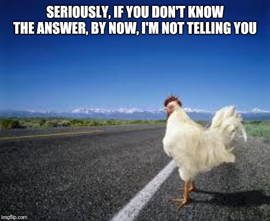Why the chicken Cross the road | SERIOUSLY, IF YOU DON'T KNOW THE ANSWER, BY NOW, I'M NOT TELLING YOU | image tagged in why the chicken cross the road | made w/ Imgflip meme maker