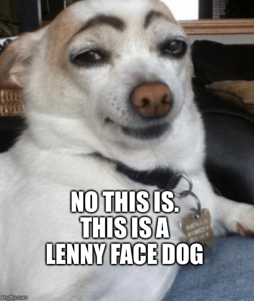 NO THIS IS. THIS IS A LENNY FACE DOG | made w/ Imgflip meme maker