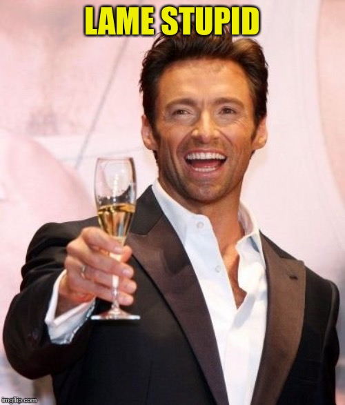 Hugh Jackman Cheers | LAME STUPID | image tagged in hugh jackman cheers | made w/ Imgflip meme maker