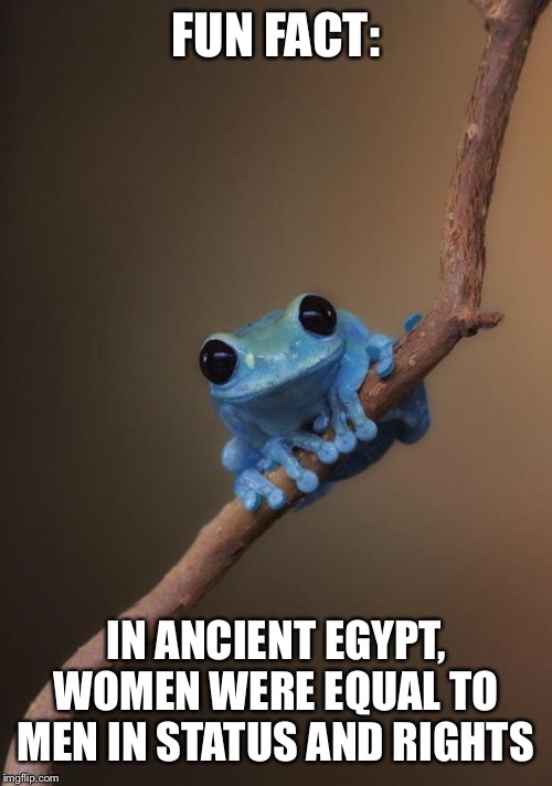Fun fact frog | FUN FACT:; IN ANCIENT EGYPT, WOMEN WERE EQUAL TO MEN IN STATUS AND RIGHTS | image tagged in fun fact frog | made w/ Imgflip meme maker