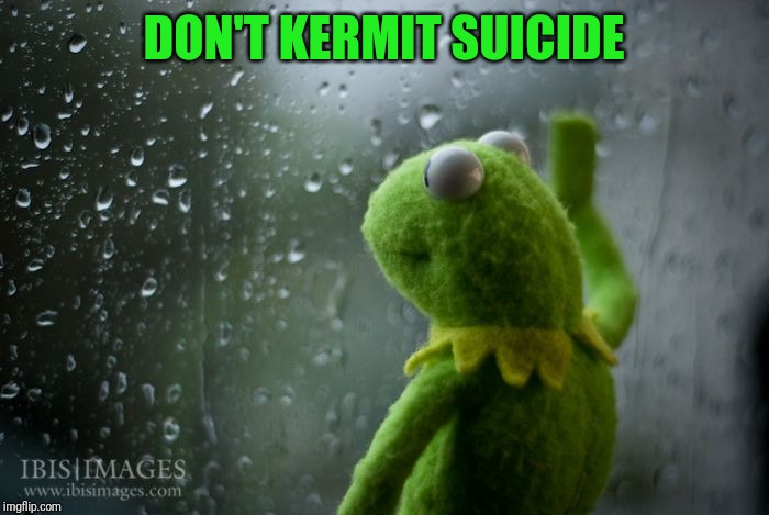 kermit window | DON'T KERMIT SUICIDE | image tagged in kermit window | made w/ Imgflip meme maker
