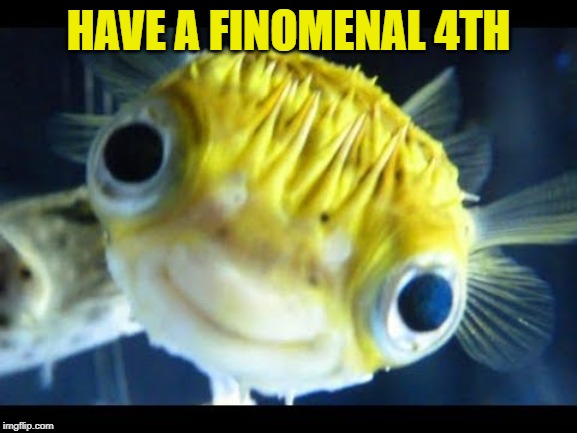 Fish | HAVE A FINOMENAL 4TH | image tagged in fish | made w/ Imgflip meme maker