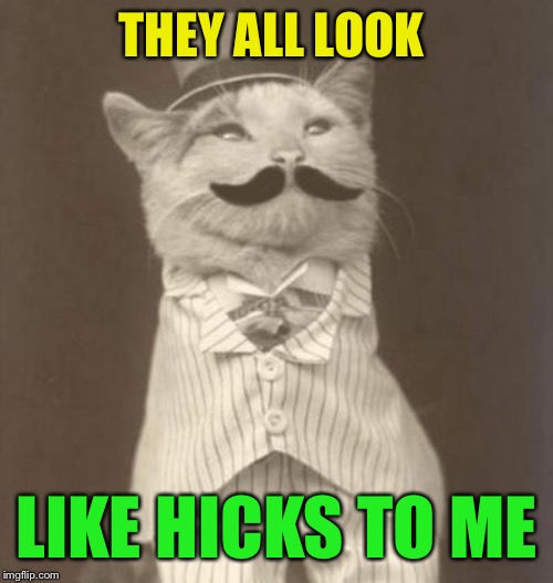 Moustache cat posh | THEY ALL LOOK LIKE HICKS TO ME | image tagged in moustache cat posh | made w/ Imgflip meme maker