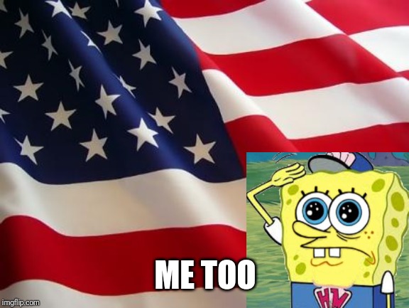 American flag | ME TOO | image tagged in american flag | made w/ Imgflip meme maker