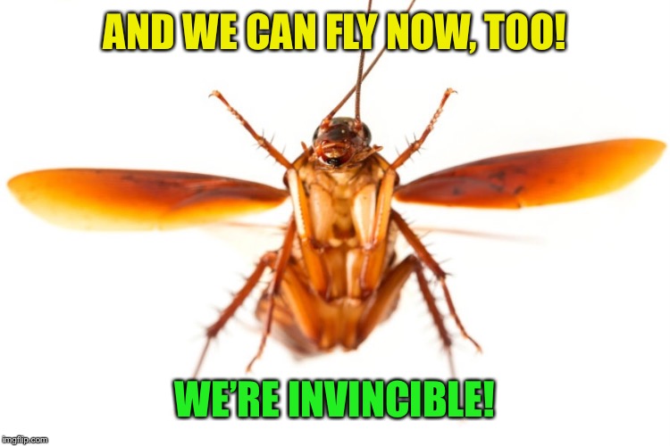 AND WE CAN FLY NOW, TOO! WE’RE INVINCIBLE! | made w/ Imgflip meme maker