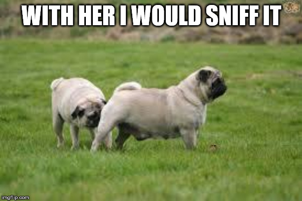 Dog Sniff | WITH HER I WOULD SNIFF IT | image tagged in dog sniff | made w/ Imgflip meme maker