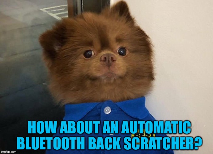 Best Buy dog | HOW ABOUT AN AUTOMATIC BLUETOOTH BACK SCRATCHER? | image tagged in best buy dog | made w/ Imgflip meme maker