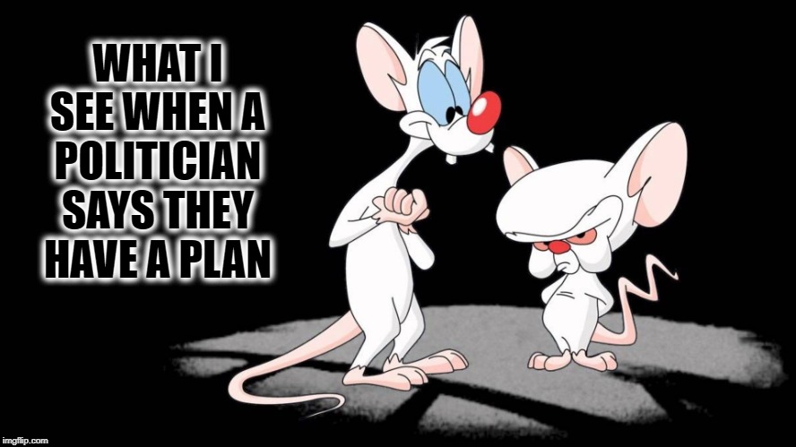 Pinky and the Brain | WHAT I SEE WHEN A POLITICIAN SAYS THEY HAVE A PLAN | image tagged in pinky and the brain | made w/ Imgflip meme maker