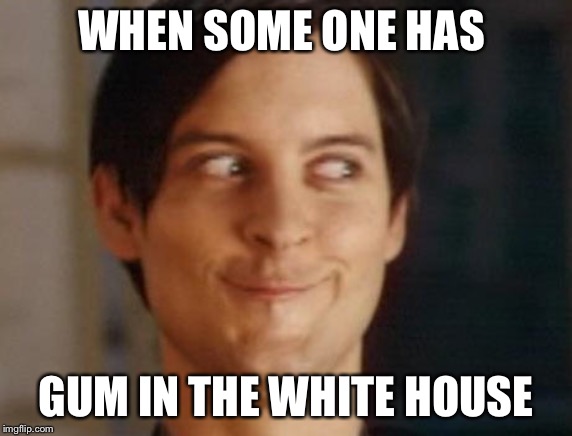 Spiderman Peter Parker | WHEN SOME ONE HAS; GUM IN THE WHITE HOUSE | image tagged in memes,spiderman peter parker | made w/ Imgflip meme maker