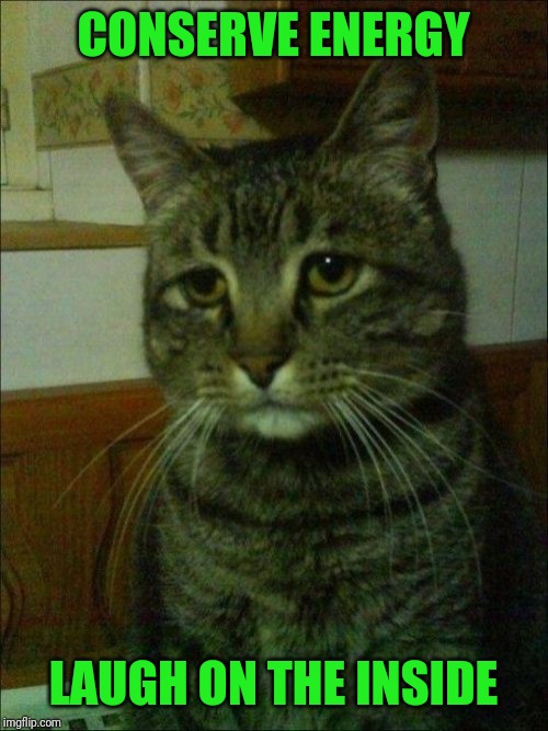 Depressed Cat Meme | CONSERVE ENERGY LAUGH ON THE INSIDE | image tagged in memes,depressed cat | made w/ Imgflip meme maker