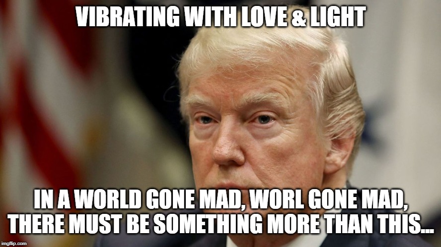 Trump is dogshit | VIBRATING WITH LOVE & LIGHT; IN A WORLD GONE MAD, WORL GONE MAD, THERE MUST BE SOMETHING MORE THAN THIS... | image tagged in trump is dogshit | made w/ Imgflip meme maker
