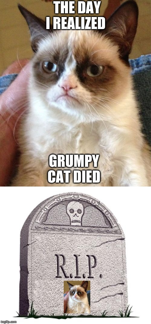 THE DAY I REALIZED; GRUMPY CAT DIED | image tagged in memes,grumpy cat,rip | made w/ Imgflip meme maker