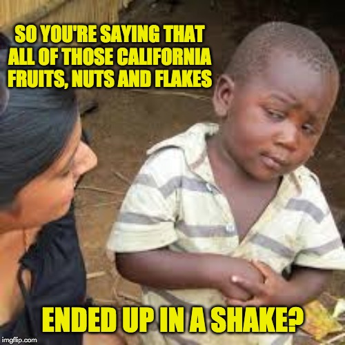 African Boy | SO YOU'RE SAYING THAT ALL OF THOSE CALIFORNIA FRUITS, NUTS AND FLAKES; ENDED UP IN A SHAKE? | image tagged in african boy | made w/ Imgflip meme maker