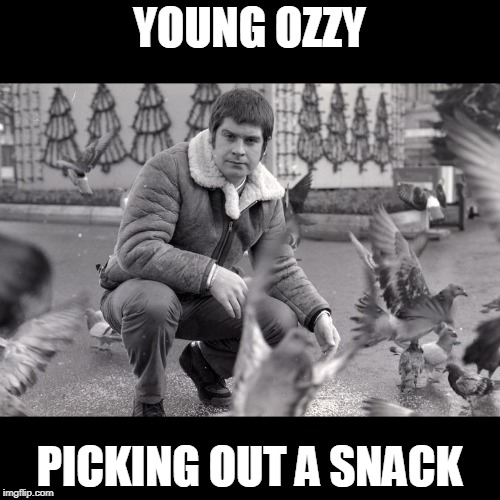 ozzy | YOUNG OZZY; PICKING OUT A SNACK | image tagged in ozzy osbourne,snacks | made w/ Imgflip meme maker