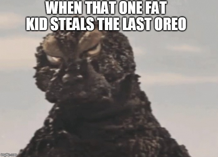 Well, Japan's gonna be destroyed. | WHEN THAT ONE FAT KID STEALS THE LAST OREO | image tagged in angry godzilla | made w/ Imgflip meme maker