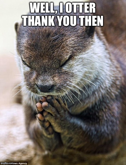 Thank you Lord Otter | WELL, I OTTER THANK YOU THEN | image tagged in thank you lord otter | made w/ Imgflip meme maker