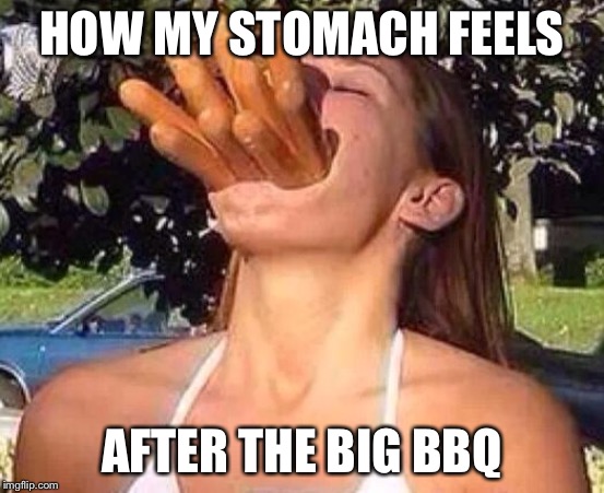 hot dog girl | HOW MY STOMACH FEELS; AFTER THE BIG BBQ | image tagged in hot dog girl | made w/ Imgflip meme maker