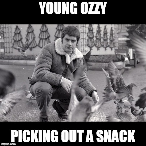 ozzy | image tagged in ozzy osbourne,snacks | made w/ Imgflip meme maker