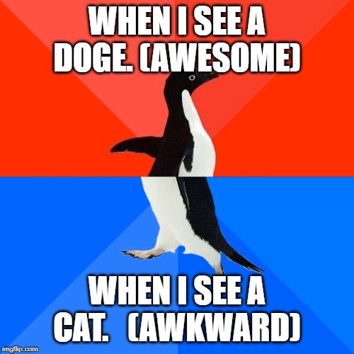 Socially Awesome Awkward Penguin | WHEN I SEE A DOGE. (AWESOME); WHEN I SEE A CAT.   (AWKWARD) | image tagged in memes,socially awesome awkward penguin,cats,dogs,animals | made w/ Imgflip meme maker