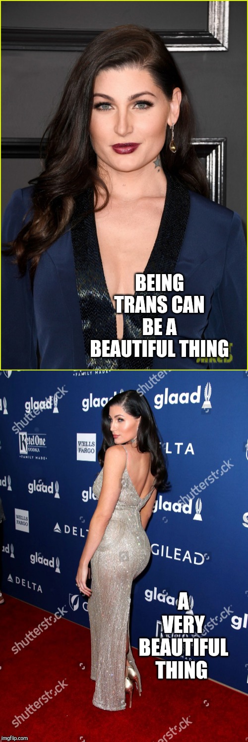 BEING TRANS CAN BE A BEAUTIFUL THING A VERY BEAUTIFUL THING | made w/ Imgflip meme maker