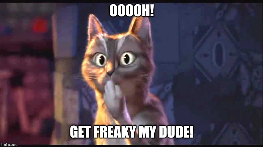 Oooh Cat | OOOOH! GET FREAKY MY DUDE! | image tagged in oooh cat | made w/ Imgflip meme maker