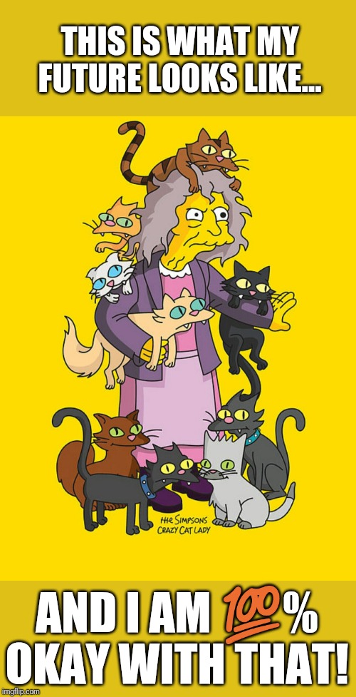 Crazy Cat Lady | THIS IS WHAT MY FUTURE LOOKS LIKE... AND I AM 💯% OKAY WITH THAT! | image tagged in crazy cat lady | made w/ Imgflip meme maker