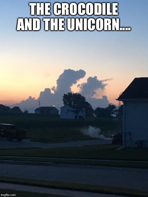 Sky Animals | THE CROCODILE AND THE UNICORN.... | image tagged in crocodile,unicorn,sky | made w/ Imgflip meme maker