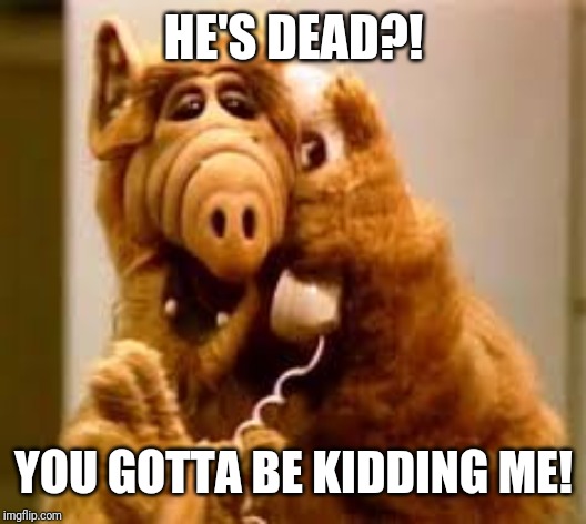 alf | HE'S DEAD?! YOU GOTTA BE KIDDING ME! | image tagged in alf | made w/ Imgflip meme maker