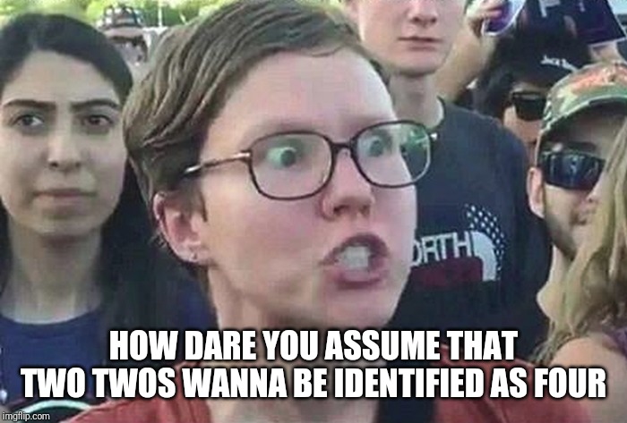 Triggered Liberal | HOW DARE YOU ASSUME THAT TWO TWOS WANNA BE IDENTIFIED AS FOUR | image tagged in triggered liberal | made w/ Imgflip meme maker