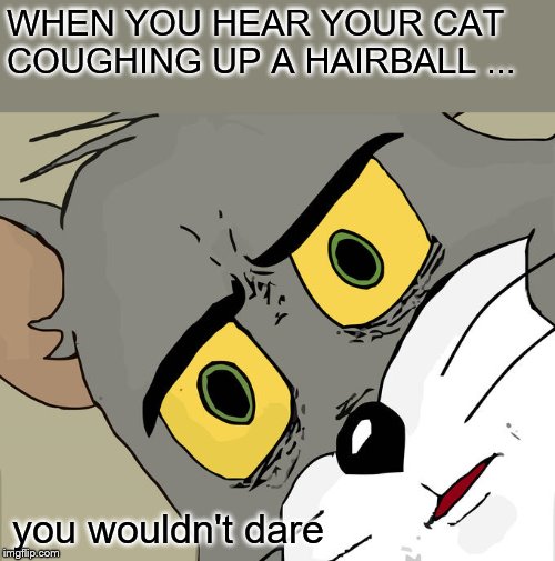 Unsettled Tom Meme | WHEN YOU HEAR YOUR CAT COUGHING UP A HAIRBALL ... you wouldn't dare | image tagged in memes,unsettled tom | made w/ Imgflip meme maker