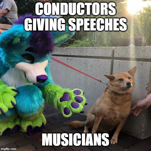 Dog vs Furry | CONDUCTORS GIVING SPEECHES; MUSICIANS | image tagged in dog vs furry | made w/ Imgflip meme maker