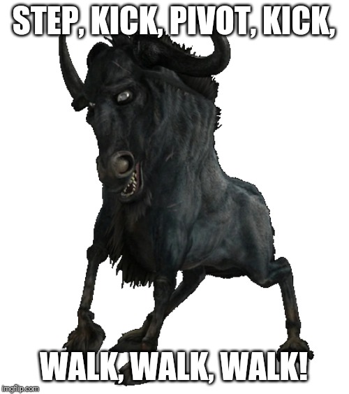 STEP, KICK, PIVOT, KICK, WALK, WALK, WALK! | made w/ Imgflip meme maker