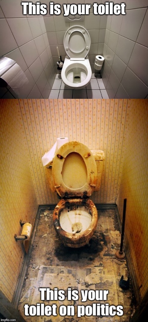 Friends don’t let potty humor go to Washington D.C. | This is your toilet | image tagged in potty humor,politics,gross toilet,clean toilet,funny,politicsl | made w/ Imgflip meme maker