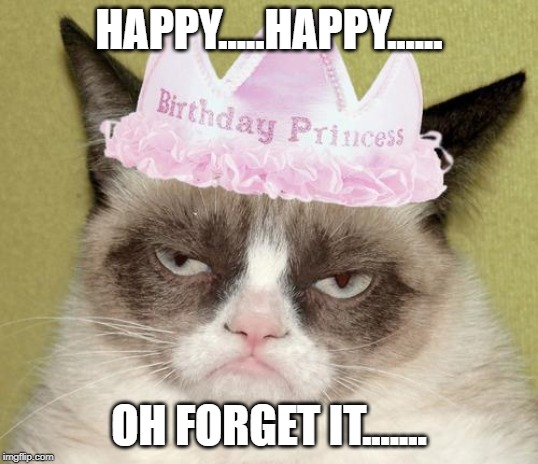 Grumpy cat birthday | HAPPY.....HAPPY...... OH FORGET IT....... | image tagged in grumpy cat birthday | made w/ Imgflip meme maker