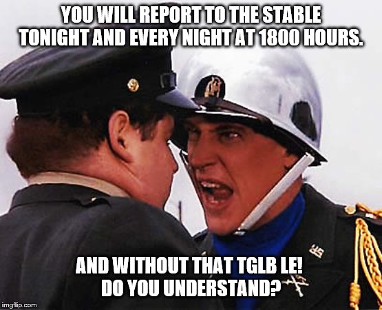 animal house | YOU WILL REPORT TO THE STABLE TONIGHT AND EVERY NIGHT AT 1800 HOURS. AND WITHOUT THAT TGLB LE! 
DO YOU UNDERSTAND? | image tagged in animal house | made w/ Imgflip meme maker