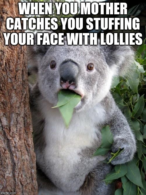 Surprised Koala | WHEN YOU MOTHER CATCHES YOU STUFFING YOUR FACE WITH LOLLIES | image tagged in memes,surprised koala | made w/ Imgflip meme maker